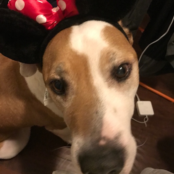 Meet your Posher, Melanie - Picture 1 of 1